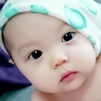 供应郑州集尘袋
